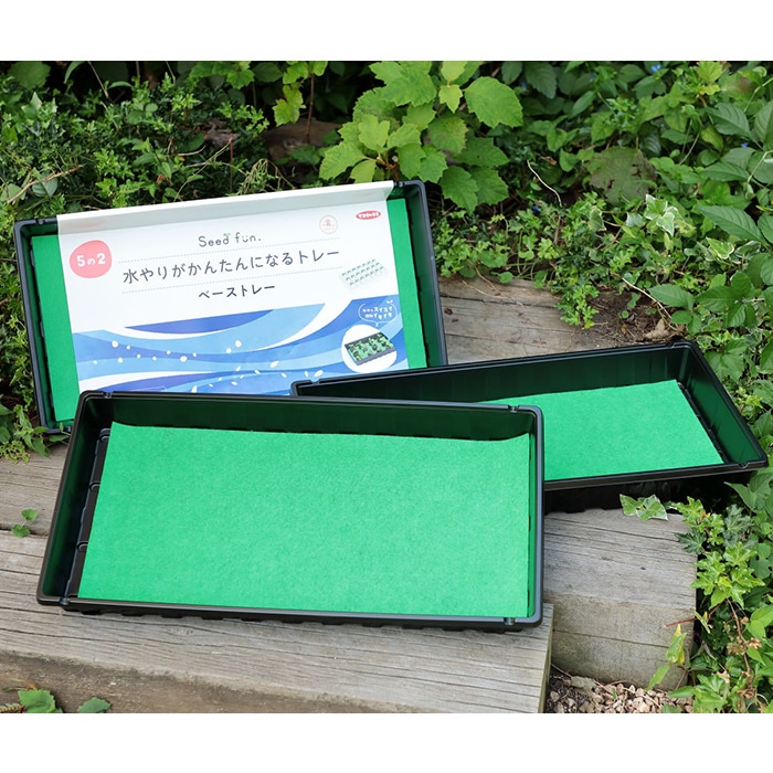 ベーストレー（水やりがかんたんになるトレー）｜種（タネ）,球根,苗
