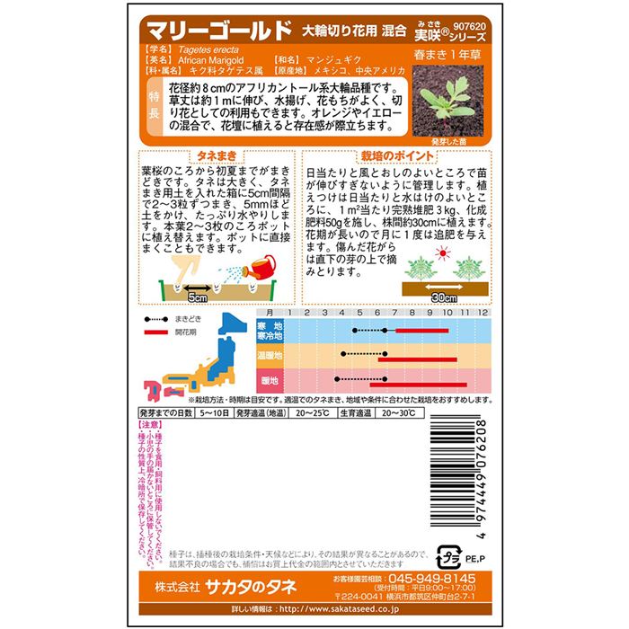 マリーゴールド マリーゴールド 大輪切り花用 混合｜種（タネ）,球根