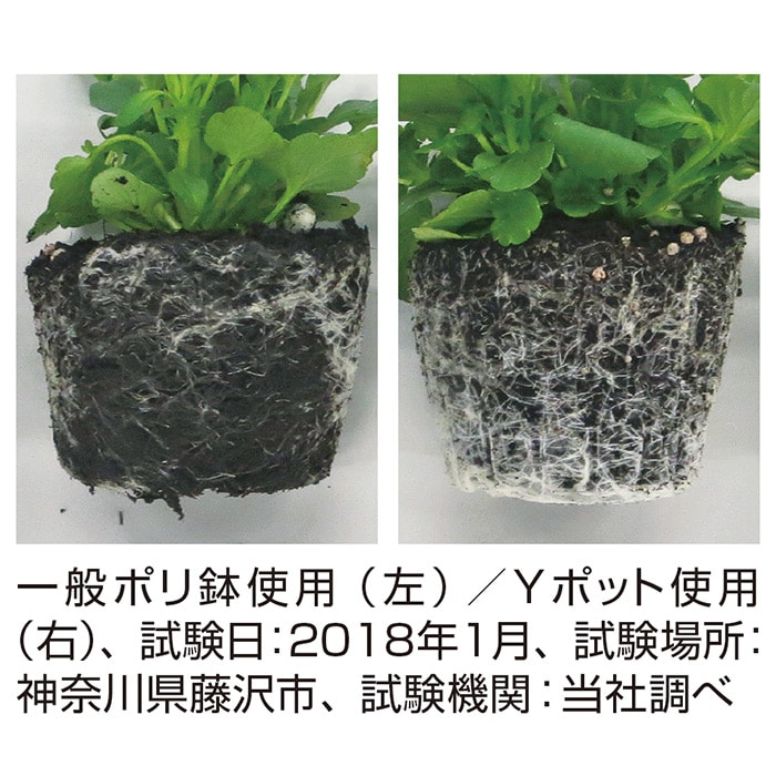 Yポット｜種（タネ）,球根,苗,資材,ガーデニンググッズの通販はサカタ