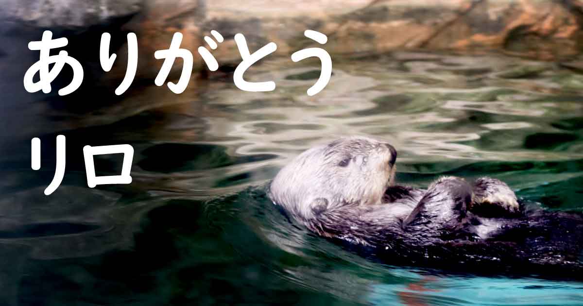 リロ、ありがとう マリンワールド海の中道でラッコ追悼企画 | ニュース