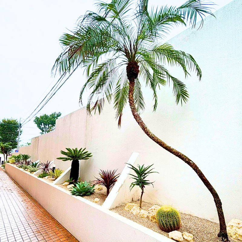 リガーデン］ヤシの木のある家 | CACTUS GARDEN SAVO | Roout by SAVO