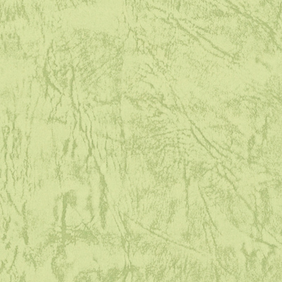 レザック66(アボガド)｜検索結果｜特種東海製紙