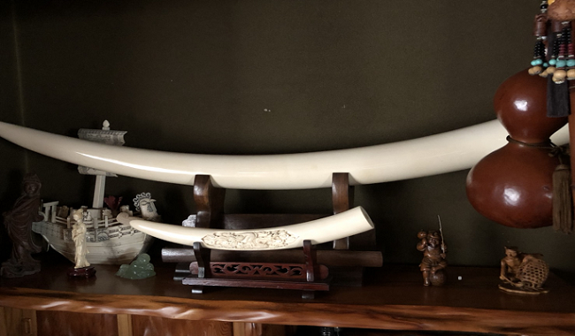 盛誉通商株式会社