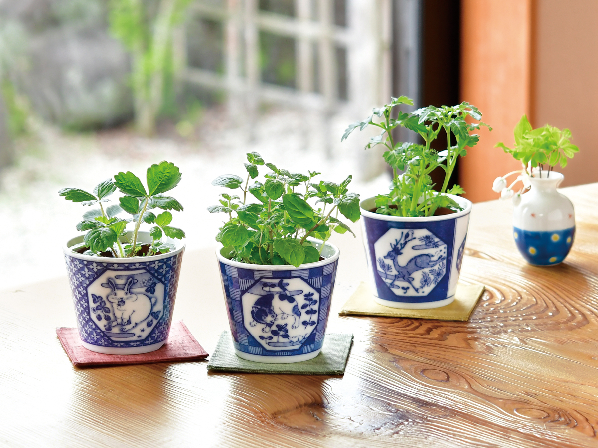 染付小紋 草花 BONSAI - 聖新陶芸株式会社｜栽培キットの企画・製造・販売