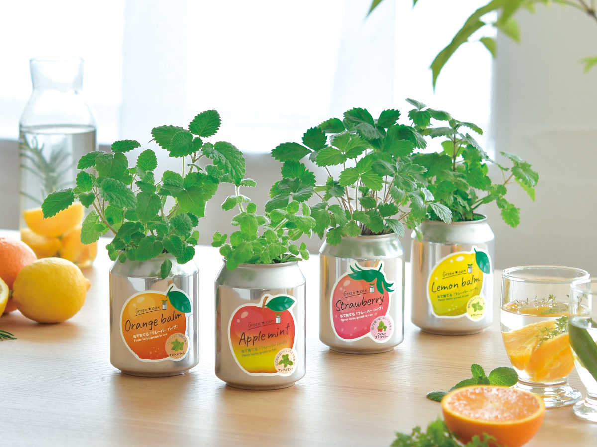 greencan - 聖新陶芸株式会社｜栽培キットの企画・製造・販売