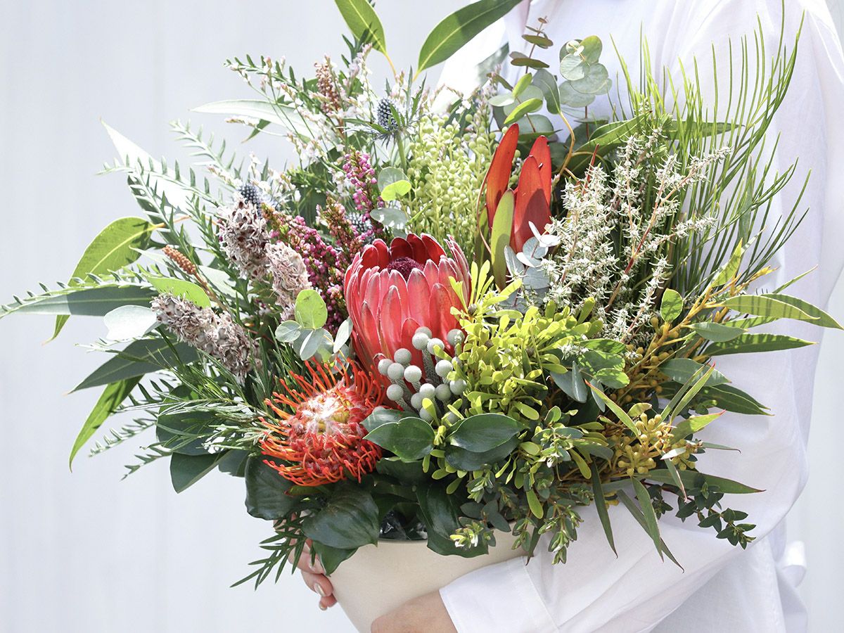 グレビレア アスプレニフォリア - 世界の花屋 フラワーギフト