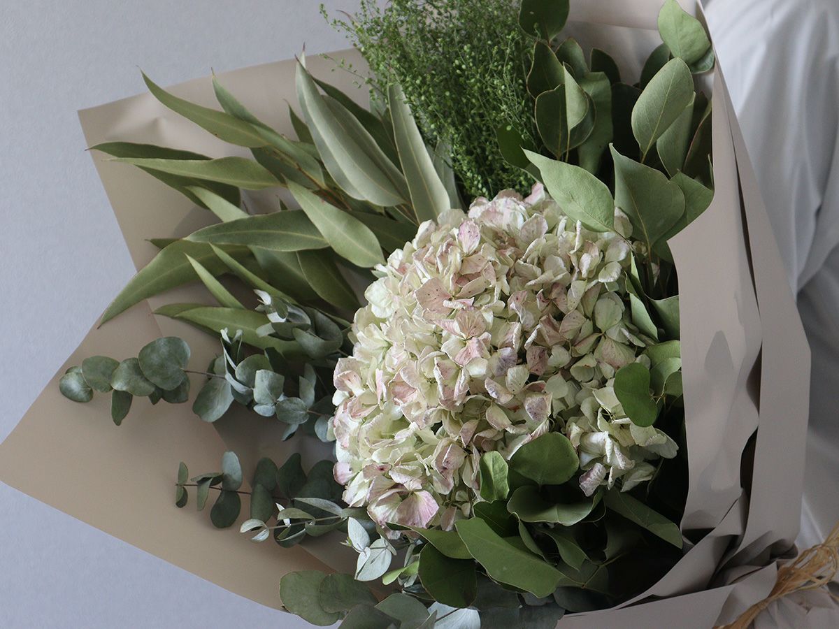 プロテア ヴィーナス - 世界の花屋 フラワーギフト おしゃれな花の通販