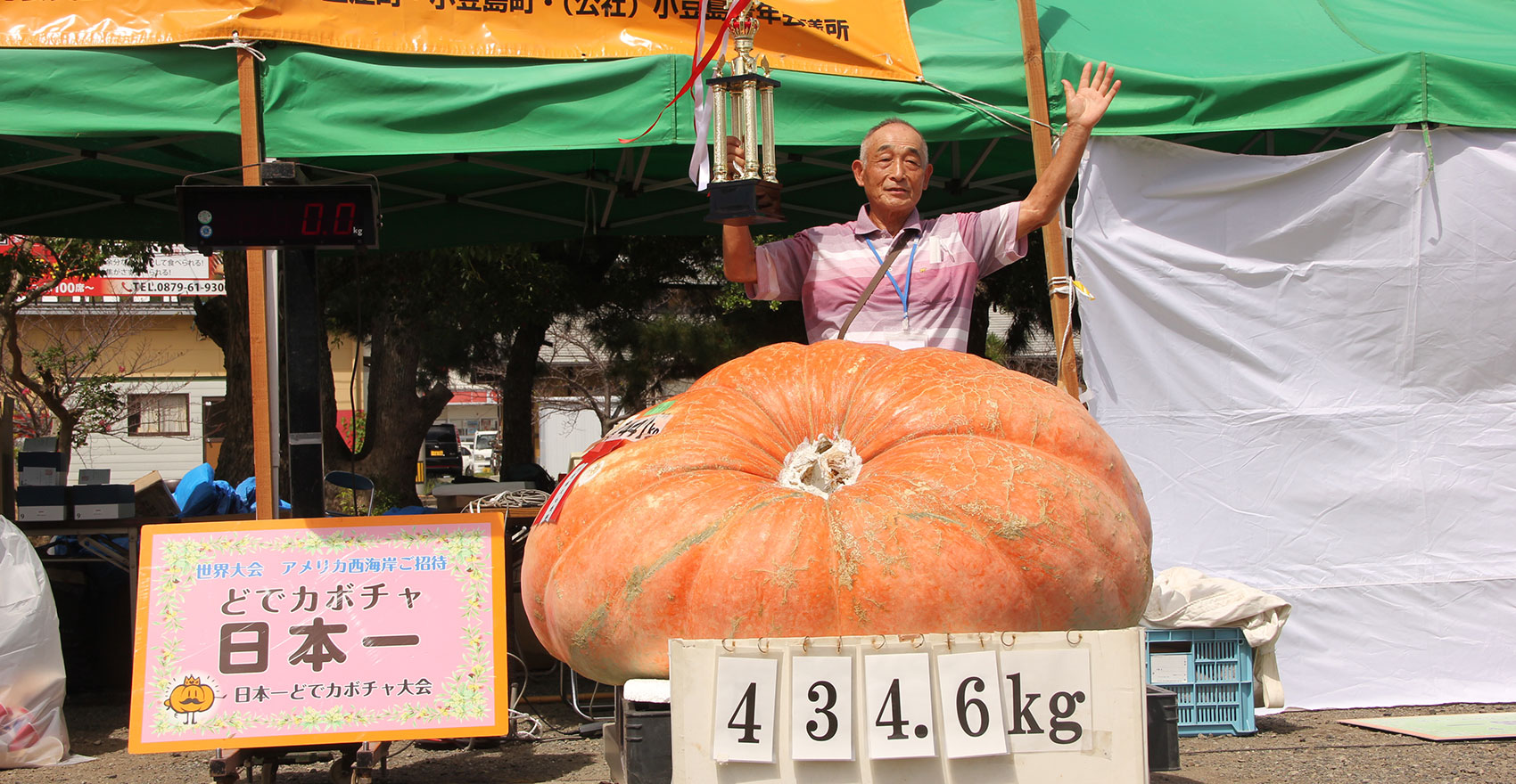 日本一どでカボチャ大会 公式ホームページ