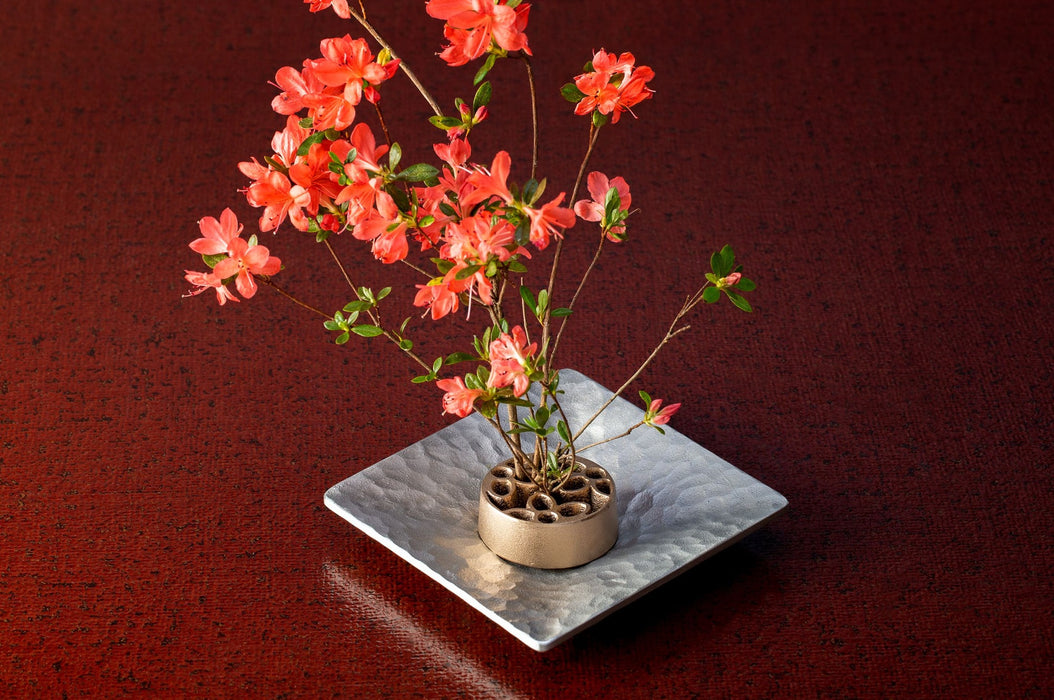 針のない剣山– Shokuhats