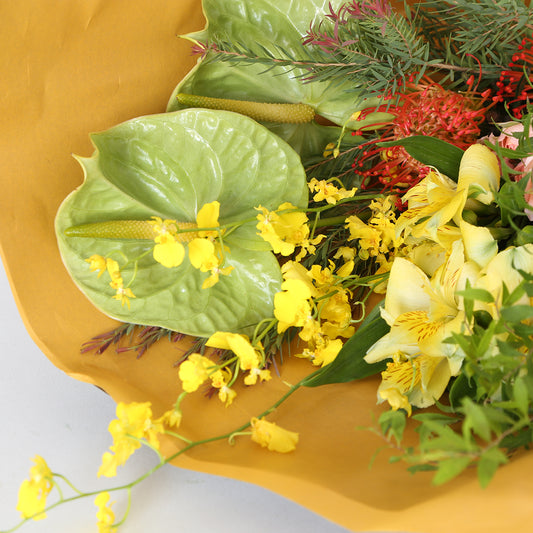 IMG_0270_533x.jpg?v=1696316065