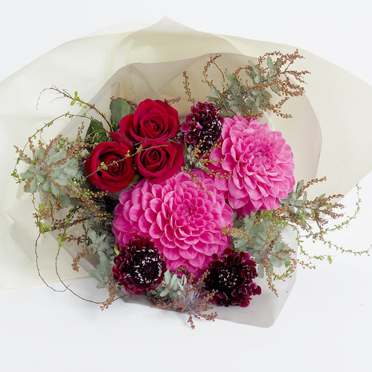 STYLISH LINE – hanna