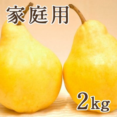 新潟直送計画】ル・レクチェ（贈答用・家庭用） – 土田農園