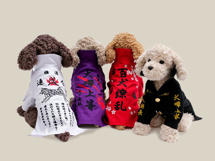 24モデル | 特攻服｜犬の洋服・オーダーメイド衣装通販 DOGBASE