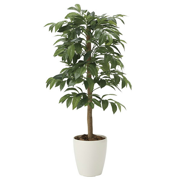 楽天市場】光触媒観葉植物 アルテシマ1.6 〔フロアタイプ〕 インテリア