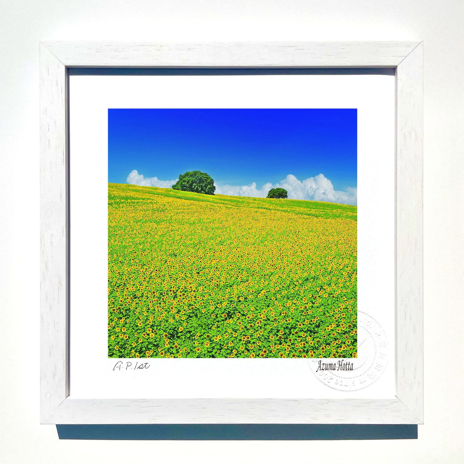 楽天市場】版画 絵画 ひまわり畑 アートフォト インテリア 額入り 額装