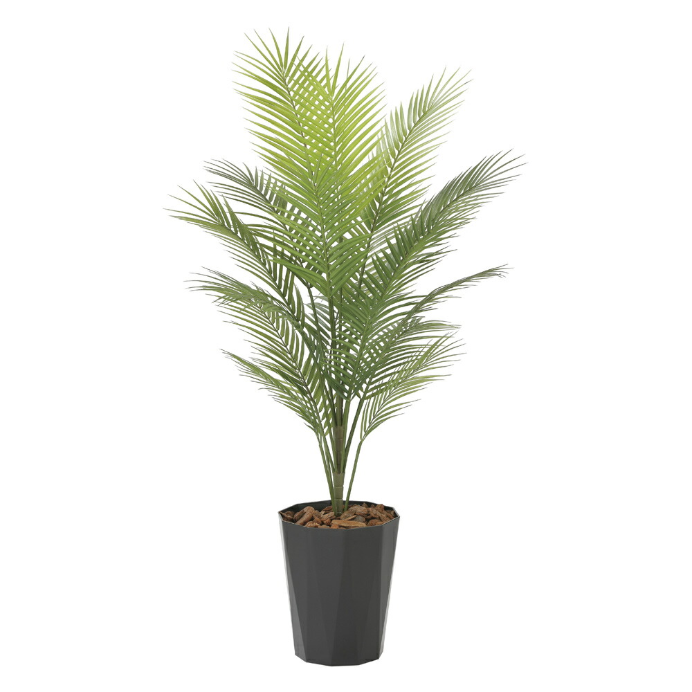 楽天市場】光触媒観葉植物 アーバンブランチツリー1.8 〔フロアタイプ