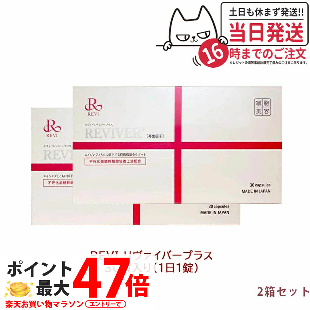 楽天市場】【お得な2箱セット】Ruby Fit ルビーフィット 60g(2g×30本