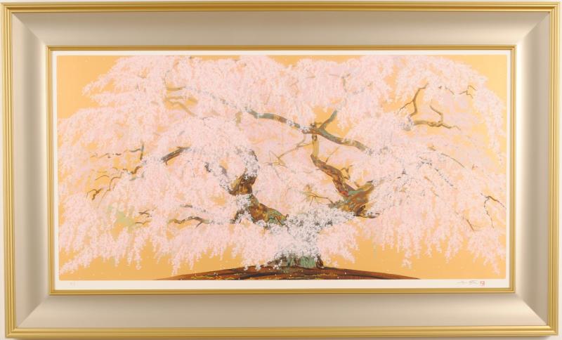 楽天市場】中島千波 臥龍桜爛漫 桜 絵画 臥龍桜 和風 岐阜県高山市