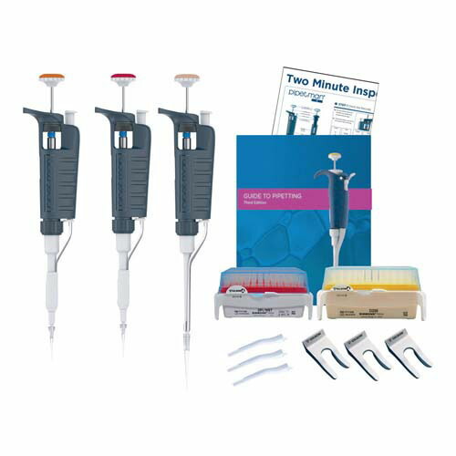 楽天市場】ビクター犬 Victor ニッパー君（a・b・c） ／victor