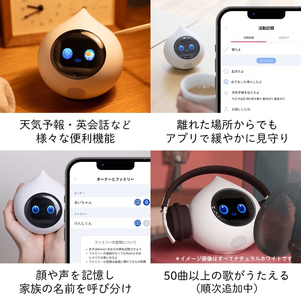会話AIロボットRomi（Lacatanモデル） – Romiストア