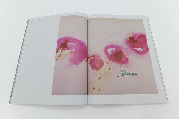 大場節子画集 夢のかなたに眠るものたちよ – 青幻舎オンラインショップ