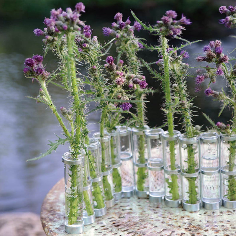 四月の花器（S）