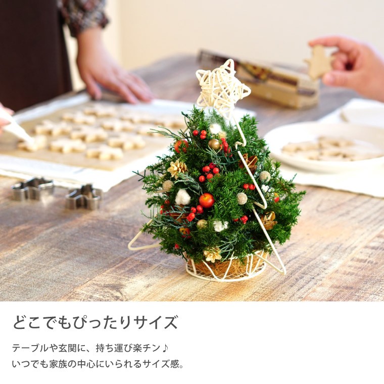 クリスマス飾り 卓上 クリスマスツリーアレンジ プリザーブドフラワー