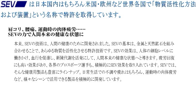 SEV（セブ） ルーパータイプG☆送料無料☆ : オンラインショップMOORE