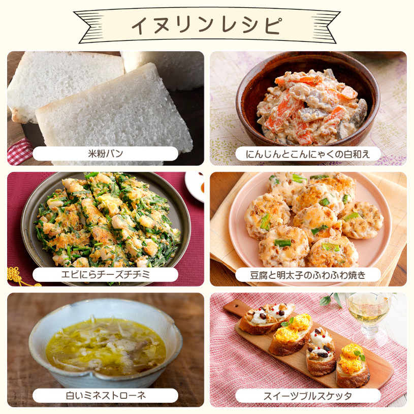 NICHIGA（ニチガ） 【機能性表示食品】天然由来 イヌリン 500g