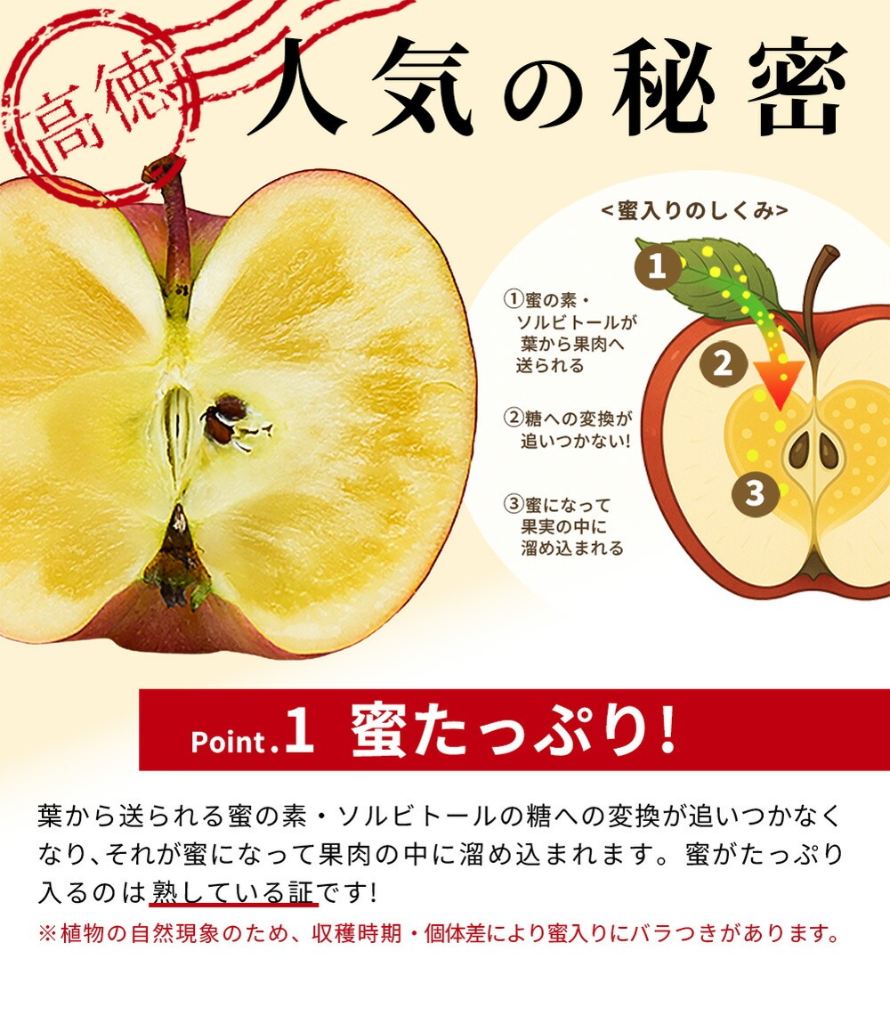 りんご 高徳 (こうとく) 1kg 5〜7玉前後 蜜入り 山形県産 自家用
