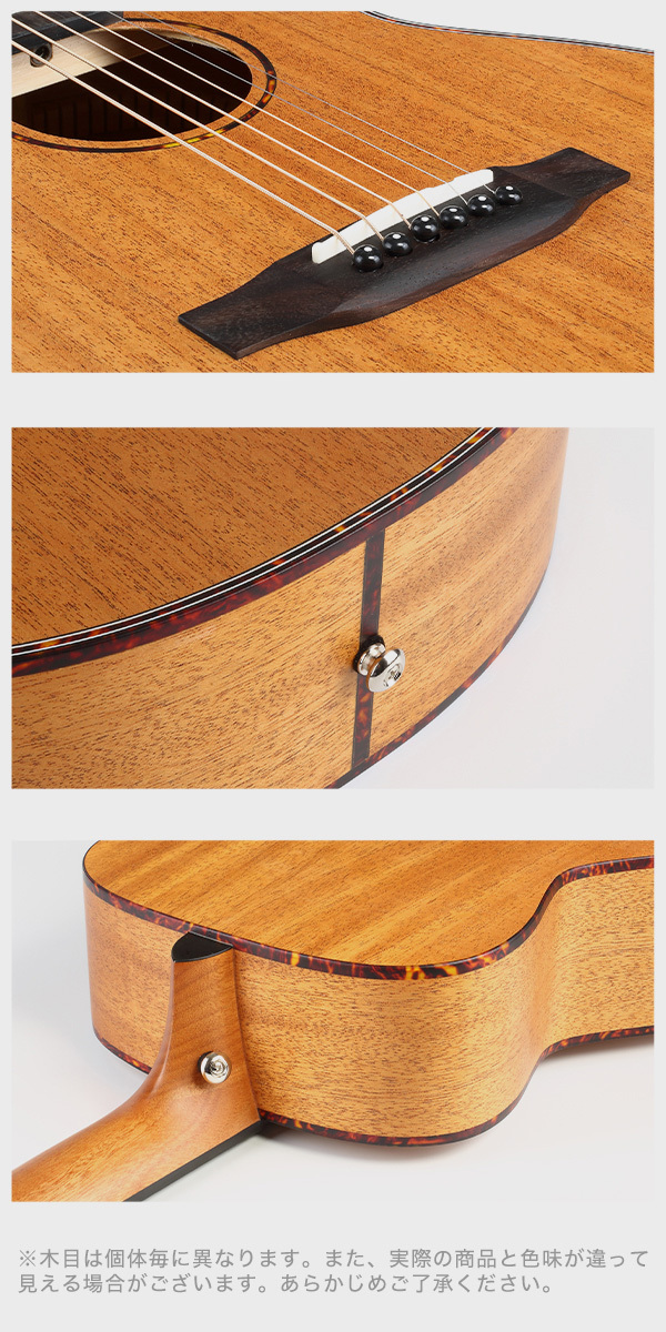 初心者セット8点】ELVISエルビス Master 1 アコースティックギター