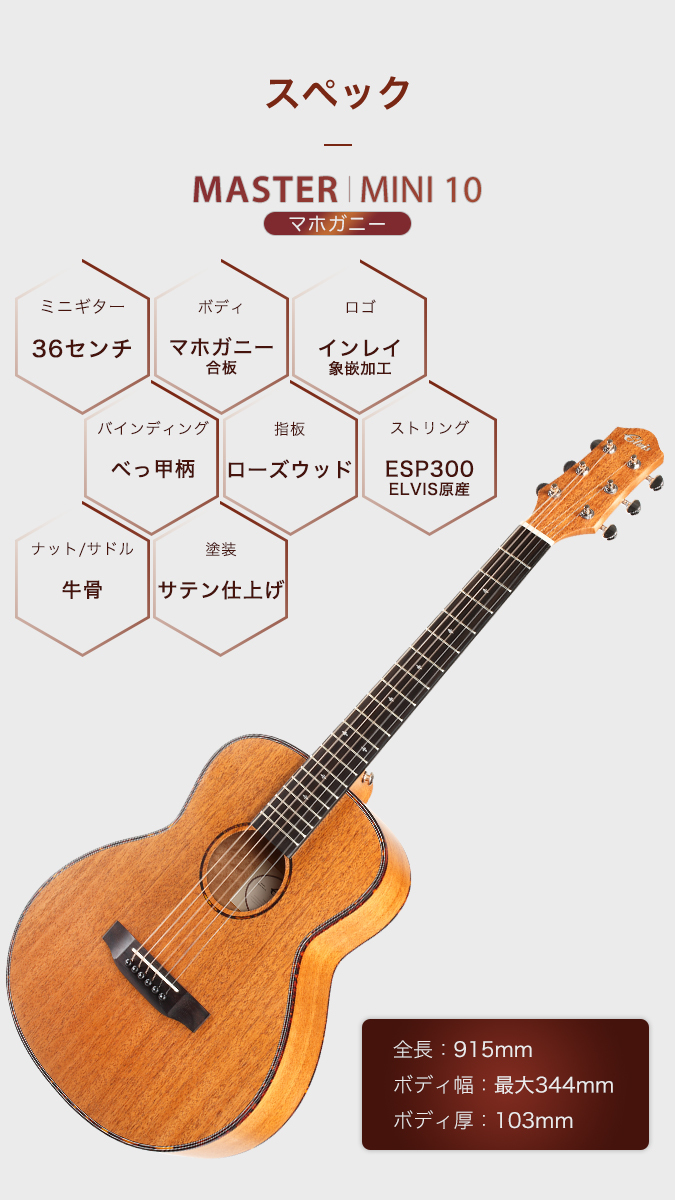 初心者セット8点】ELVISエルビス Master 1 アコースティックギター