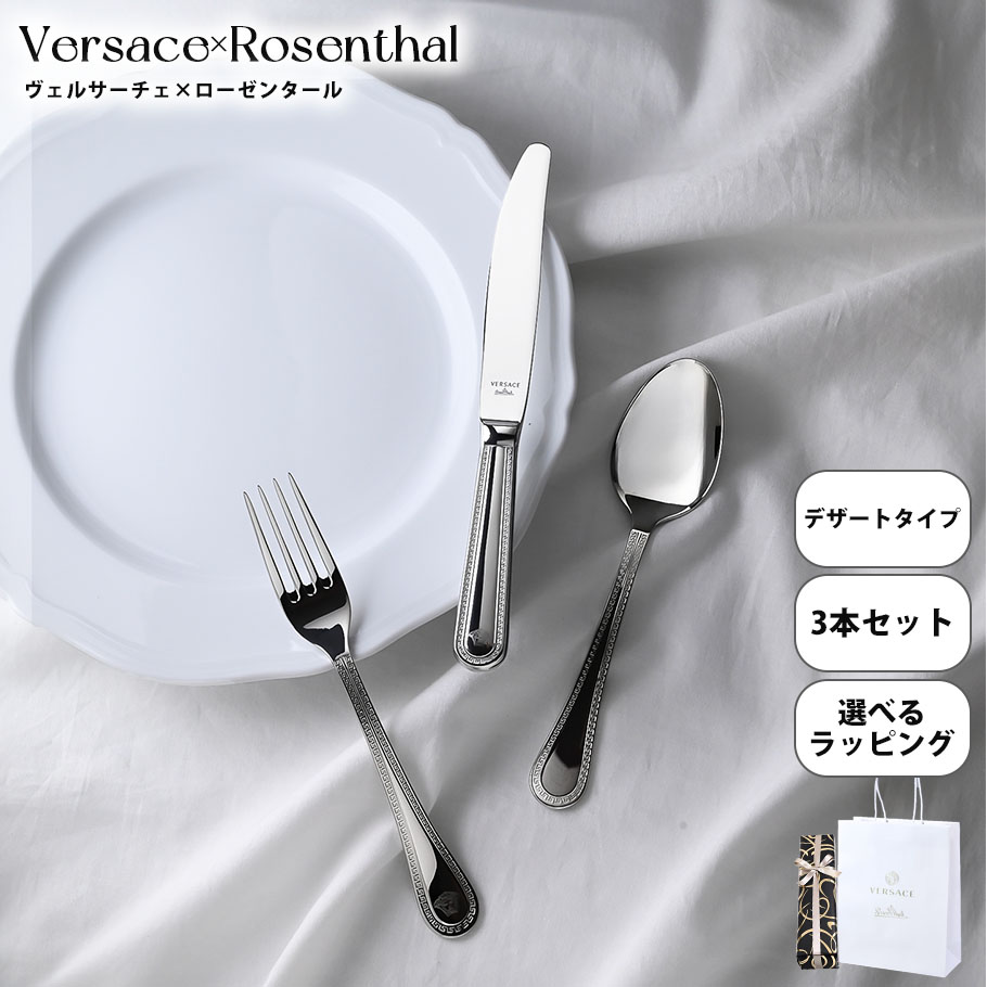 VERSACE（ヴェルサーチェ） スペシャルラッピング付き 純正紙袋付き