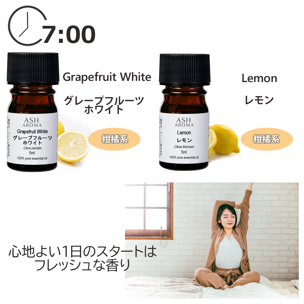 ASH AROMA アロマミニギフト アロマオイル＆アロマストーン 選べる