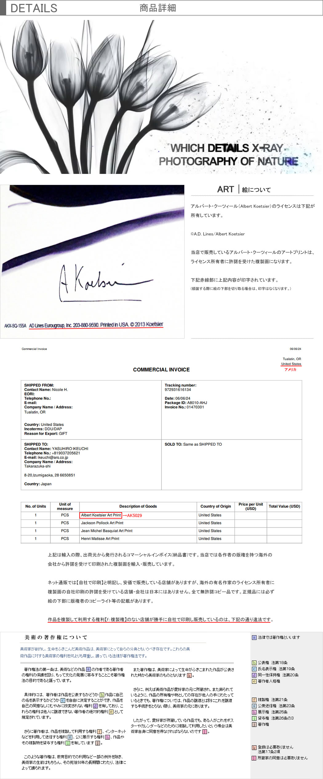 レントゲンアート 花 x-ray art アートパネル アートポスター アート