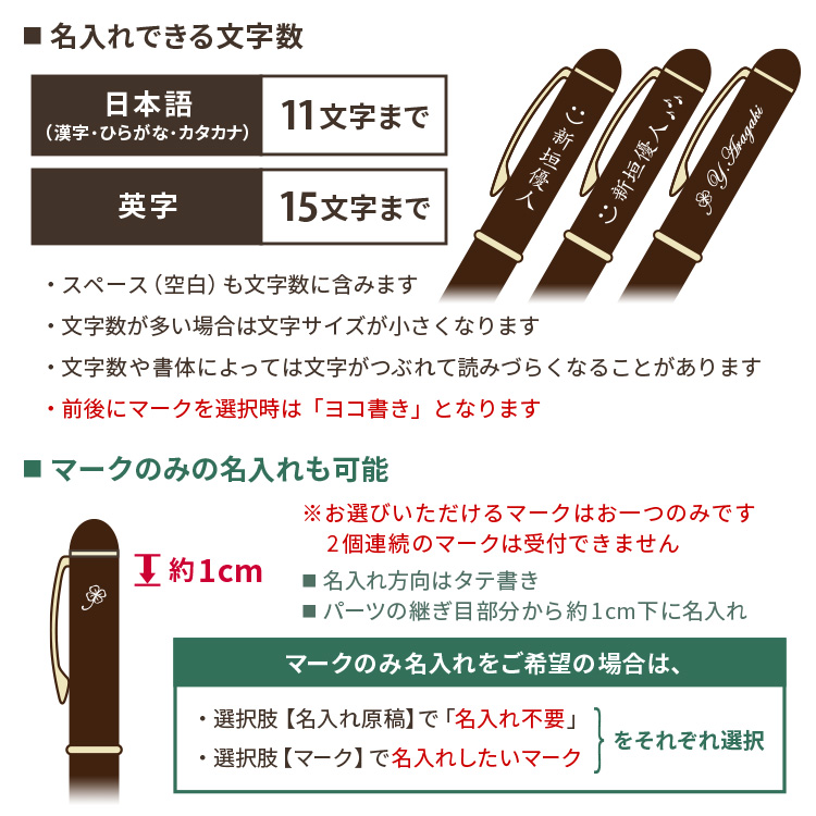 エボルト ボールペン 名入れ 入学祝 卒業記念品 卒団記念品 パイロット
