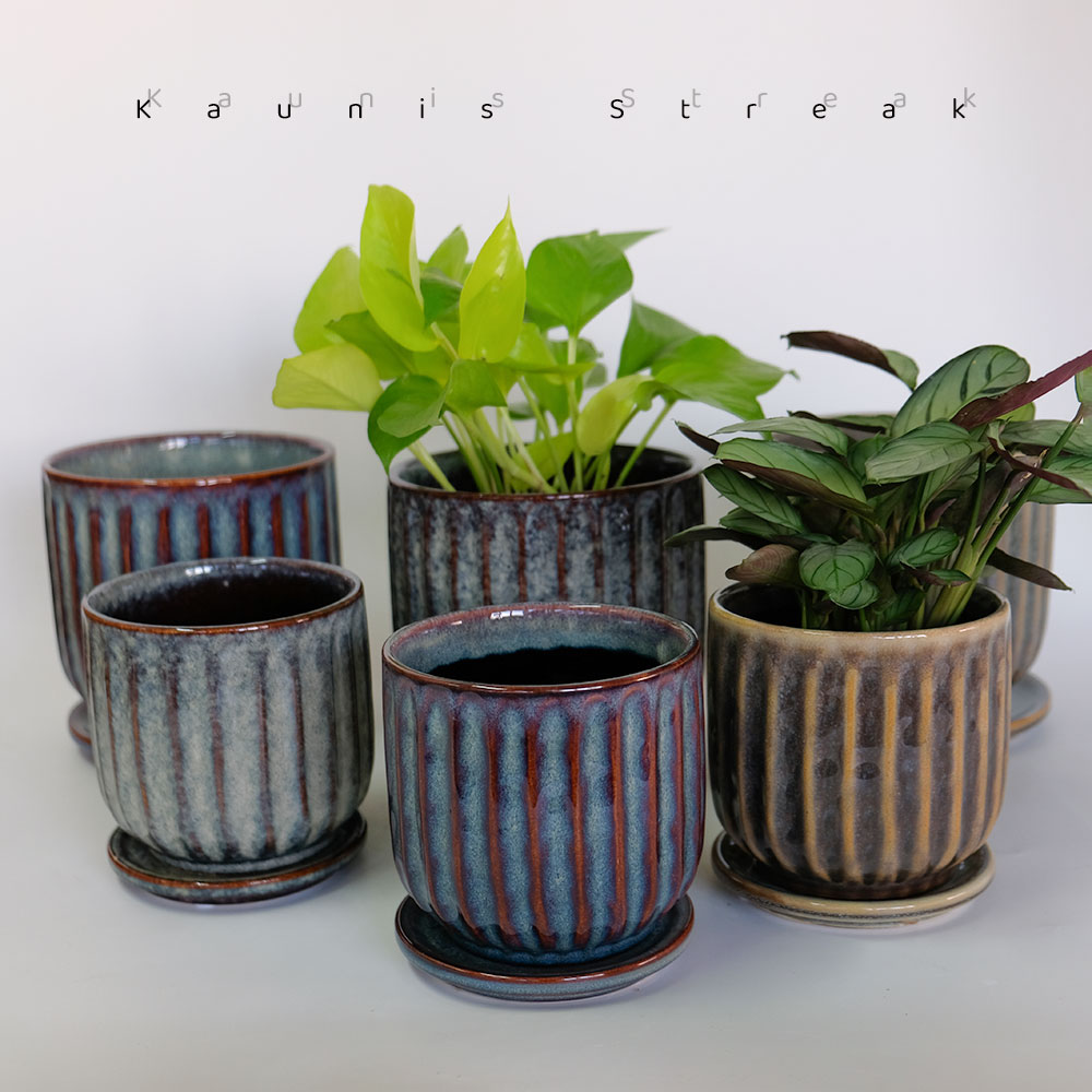 陶器鉢 Kaunis Streak 受皿付 【S/M】 受皿付セラミック鉢 底穴あり 径