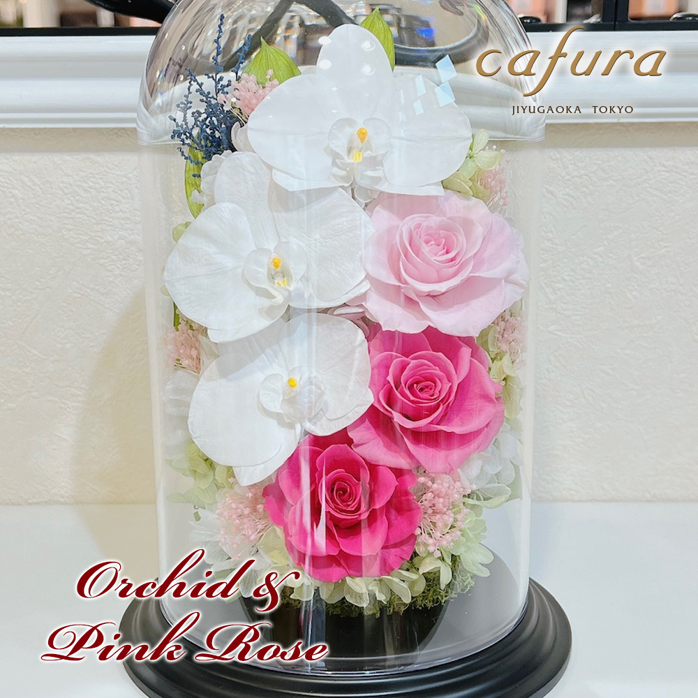 プリザーブドフラワー 胡蝶蘭 ガラスドーム 御祝 仏花 名入れ お祝い