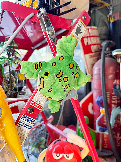 ベルツノガエル マグネット付き ぬいぐるみ カエル 単品 □ アメリカン