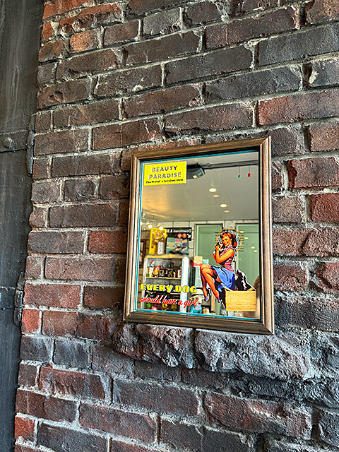 オールドアメリカン パブミラー ピンナップガール （EVERY DOG