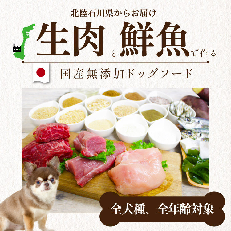 CHEFDOG（シェフドッグ） 小分け 250g ドッグフード アレルギー 国産