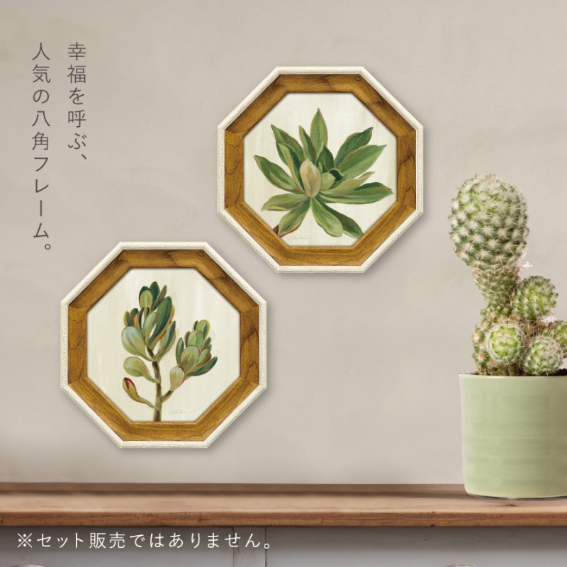 風水 開運 絵画 アートパネル 八角 観葉植物 グリーン 多肉植物