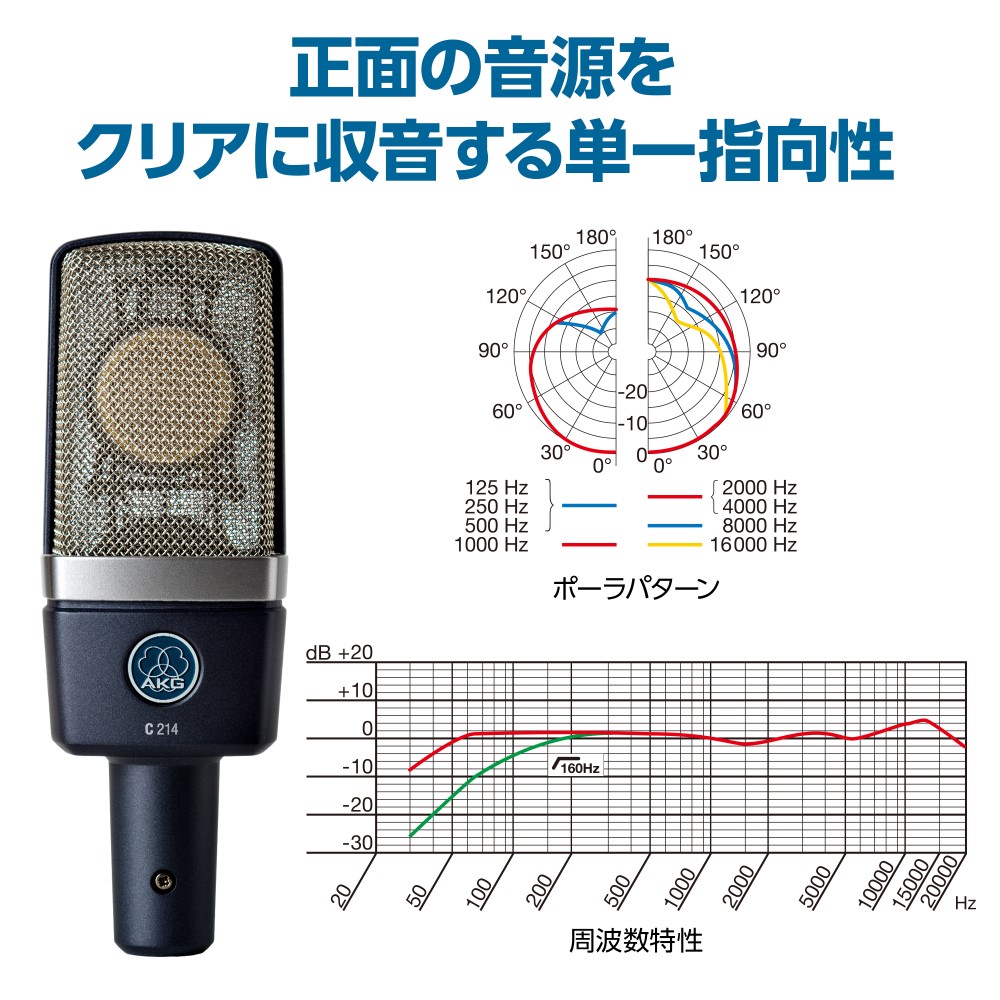 AKG AKG C214-Y4 コンデンサーマイク | ボーカル レコーディング