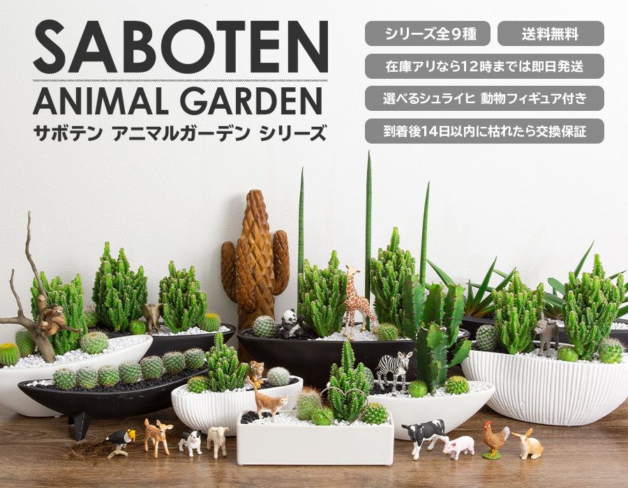 サボテン 寄せ植え トゲなし セレウス 波形タイプ 選べる動物