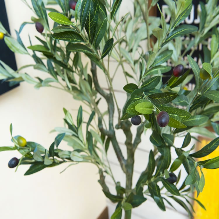 フェイクグリーン オリーブ 5号鉢 高さ115cm オリーブの木 光触媒 観葉