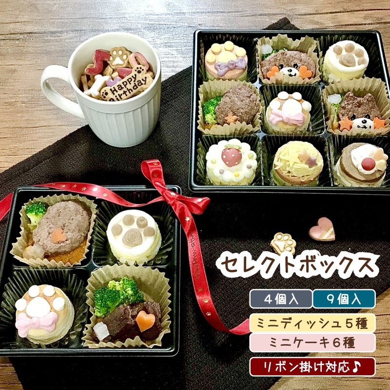 わんこのセレクトボックス 4個入・9個入（犬用 ケーキ ご馳走 セット