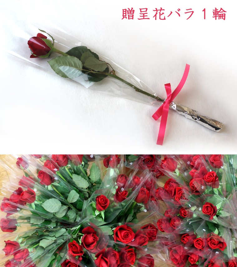 生花 贈呈花 バラ 1輪 価格は1本分 ※10本以上でご注文下さい 1本