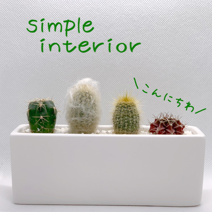 花のギフト社 サボテン 寄せ植え 多肉植物 おまかせ 4種類 ミニ