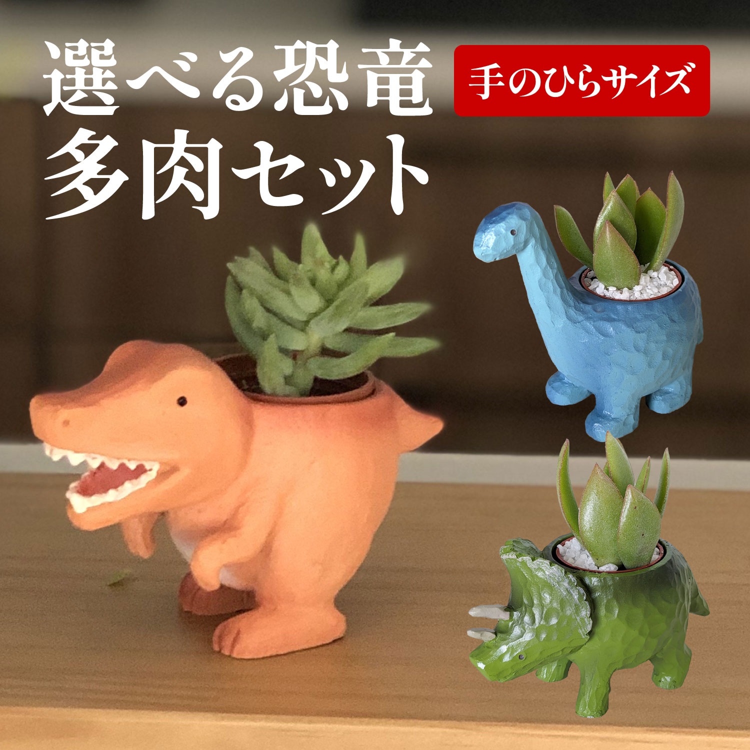 花のギフト社 多肉植物 鉢植え 多肉 トリケラトプス ティラノサウルス