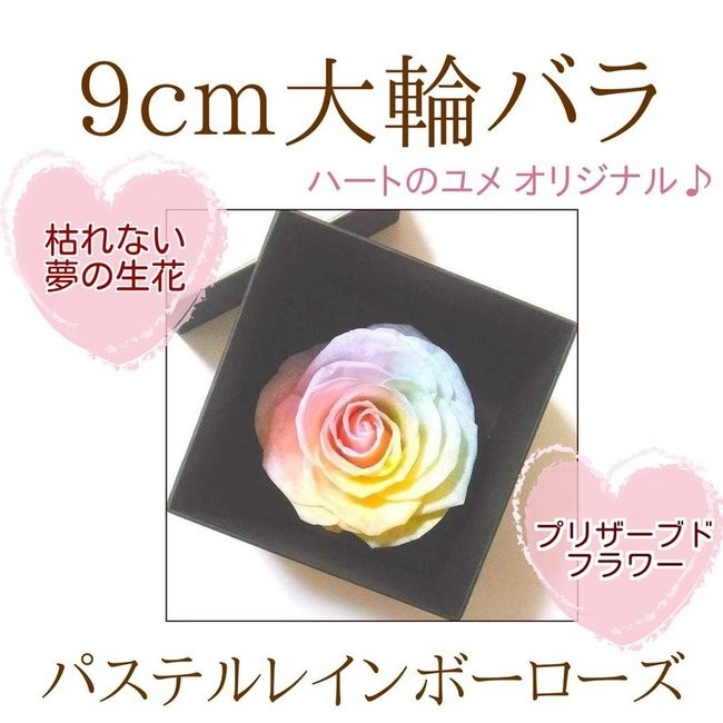 サウンドアレンジ 【高級プリザーブドフラワー】大輪バラレインボー